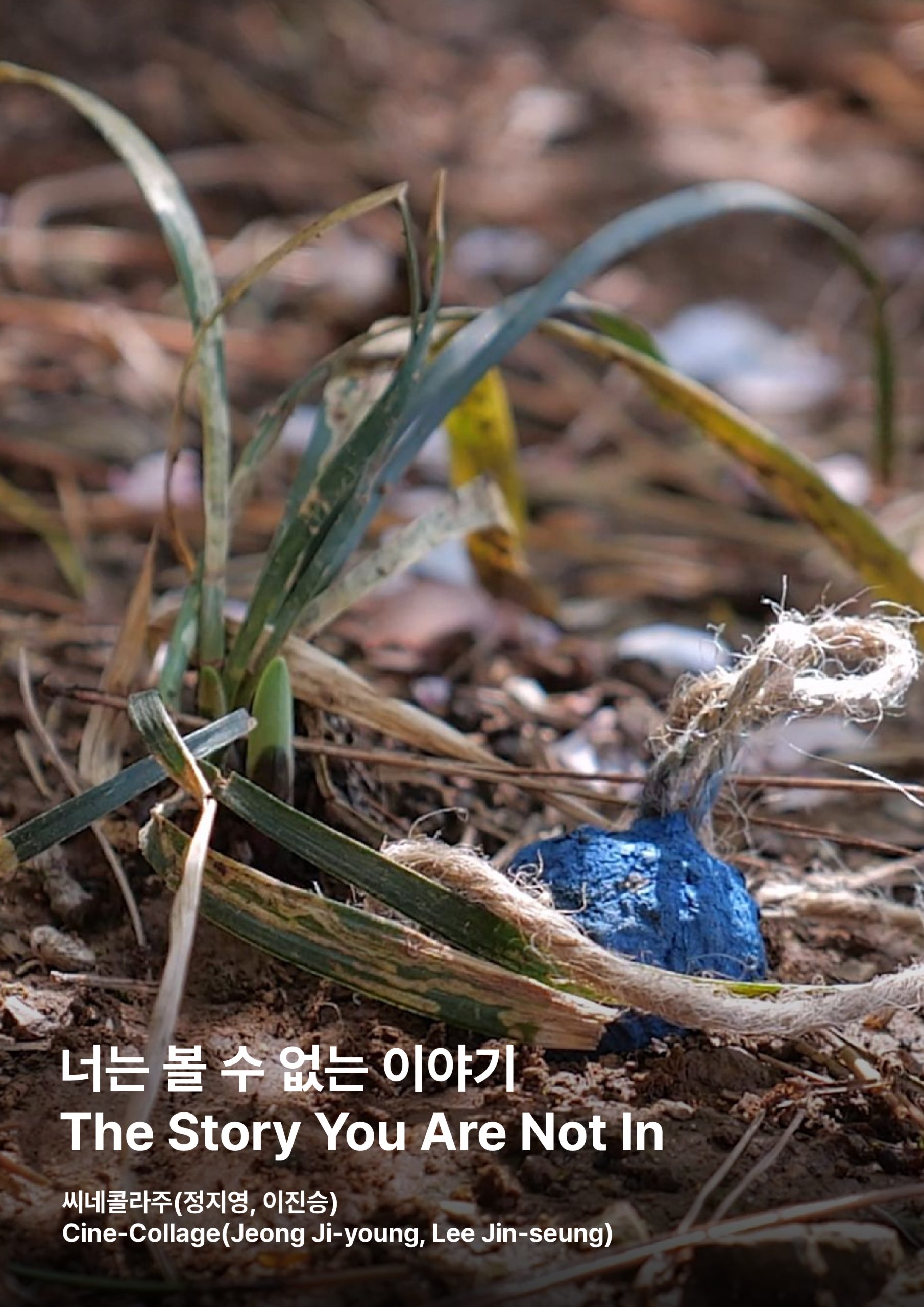 울산울주세계산악영화제 상영작 안내